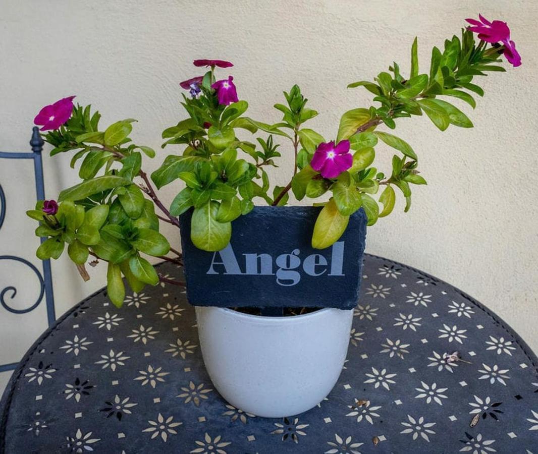 Angel @ Aragon Court Apartment Marsascala Exterior photo
